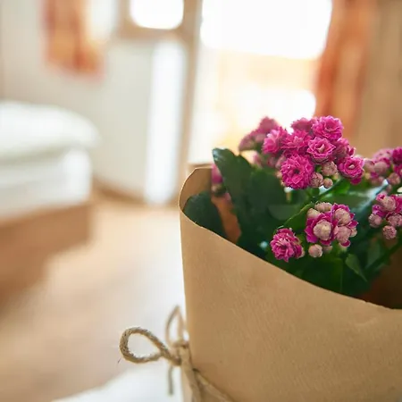 Rohrmoos アパート