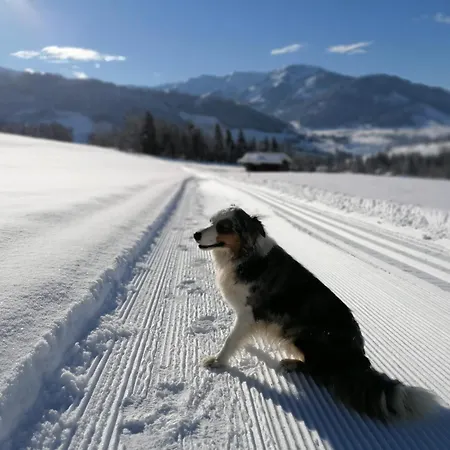 Rohrmoos Appartamento