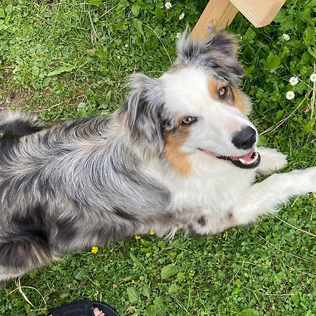 Rohrmoos Maria Alm am Steinernen Meer