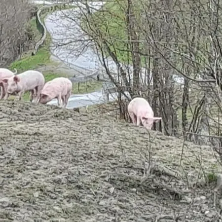Rohrmoos Maria Alm am Steinernen Meer