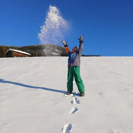 Rohrmoos * マリア・アルム・アム・シュタイナーネン・メアー