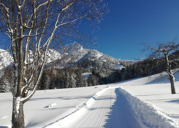 Daire Rohrmoos Maria Alm am Steinernen Meer
