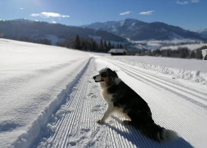 Rohrmoos Апартаменты