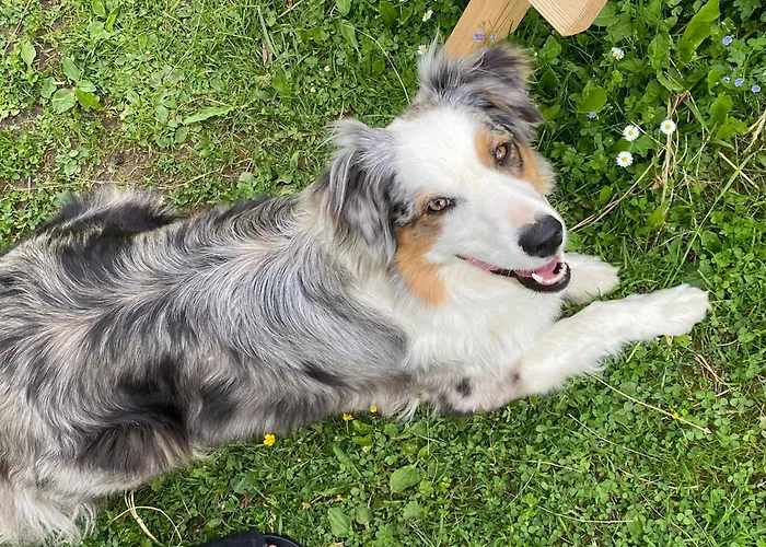 Rohrmoos Maria Alm am Steinernen Meer